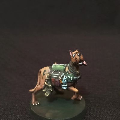 Scooby