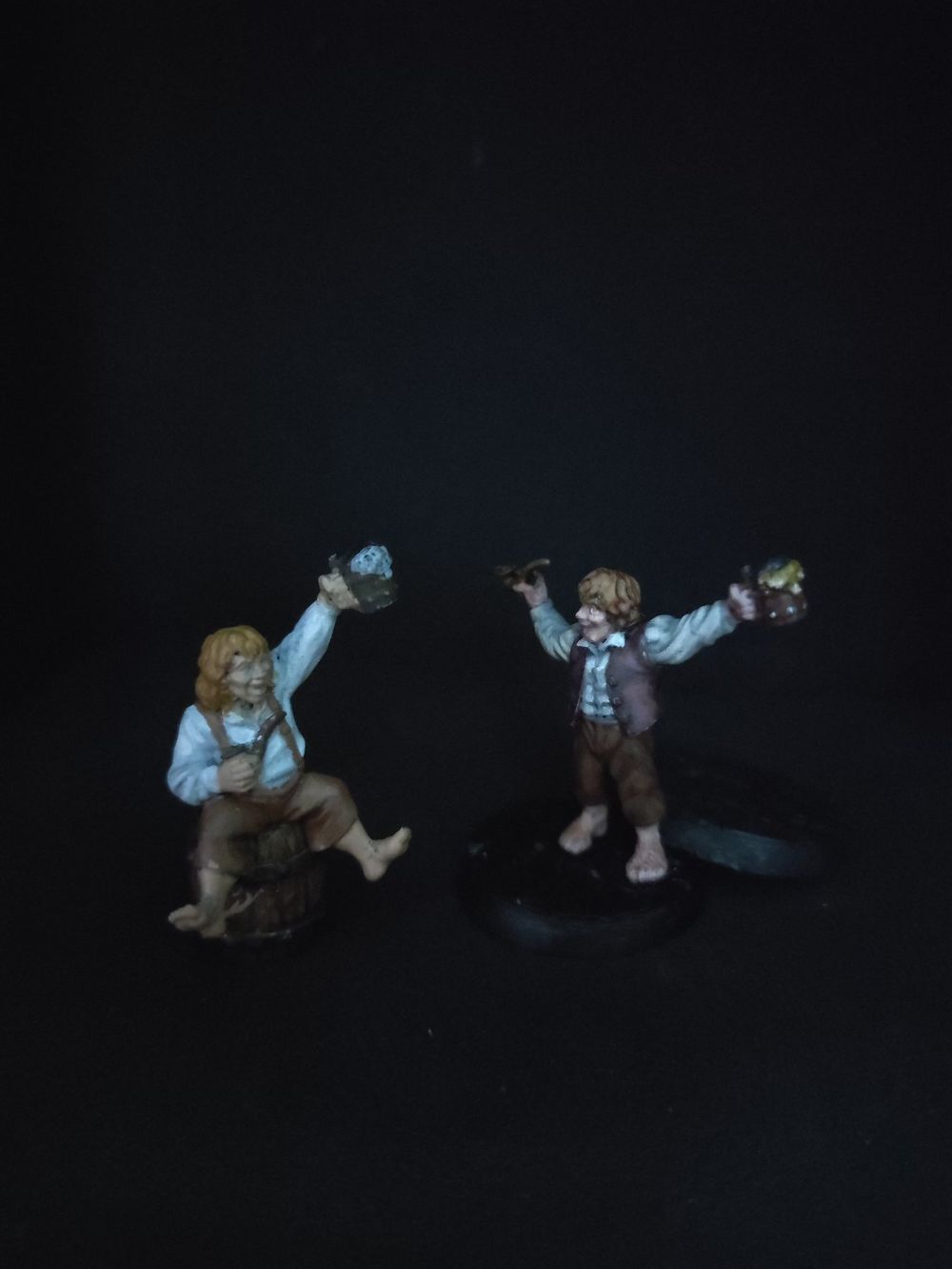 Peregrin Took & Meriadoc Brandebuque