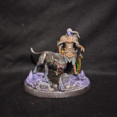 Drizzt Do'Urden