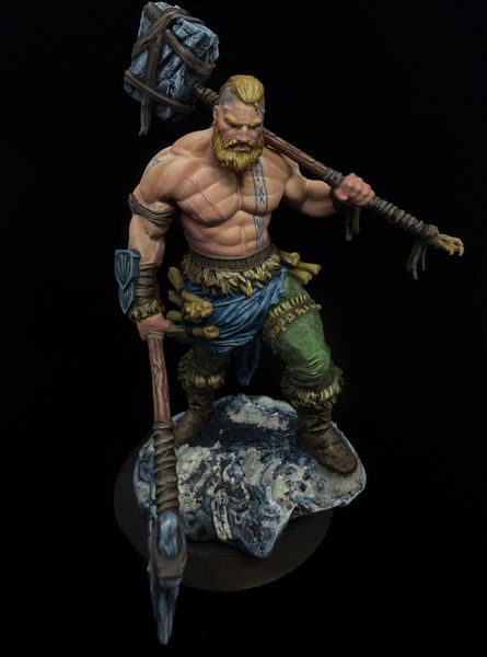 Barbaro Viking