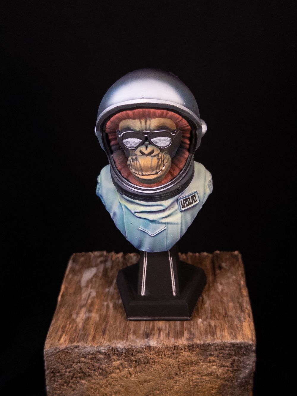 Intergalactic Monkey