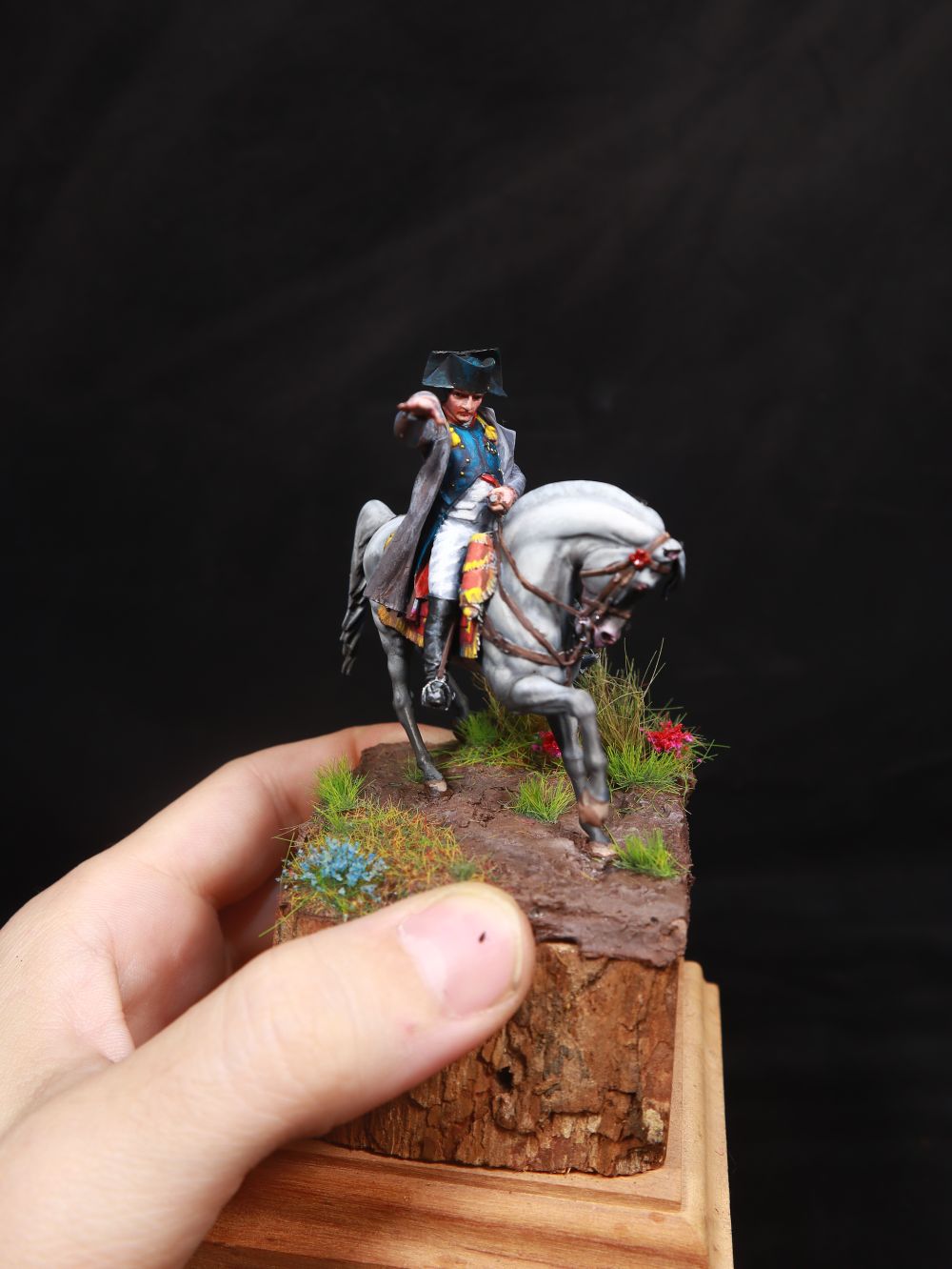 Napoleão Bonaparte