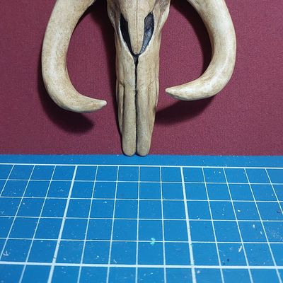 Mitossauro Skull (Mandalorian)
