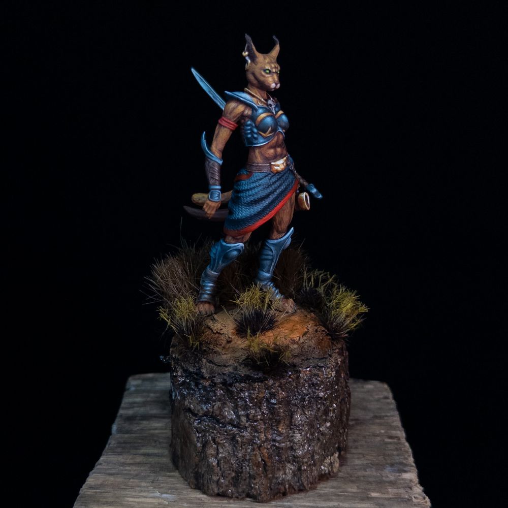 Tabaxi Caracal Rogue
