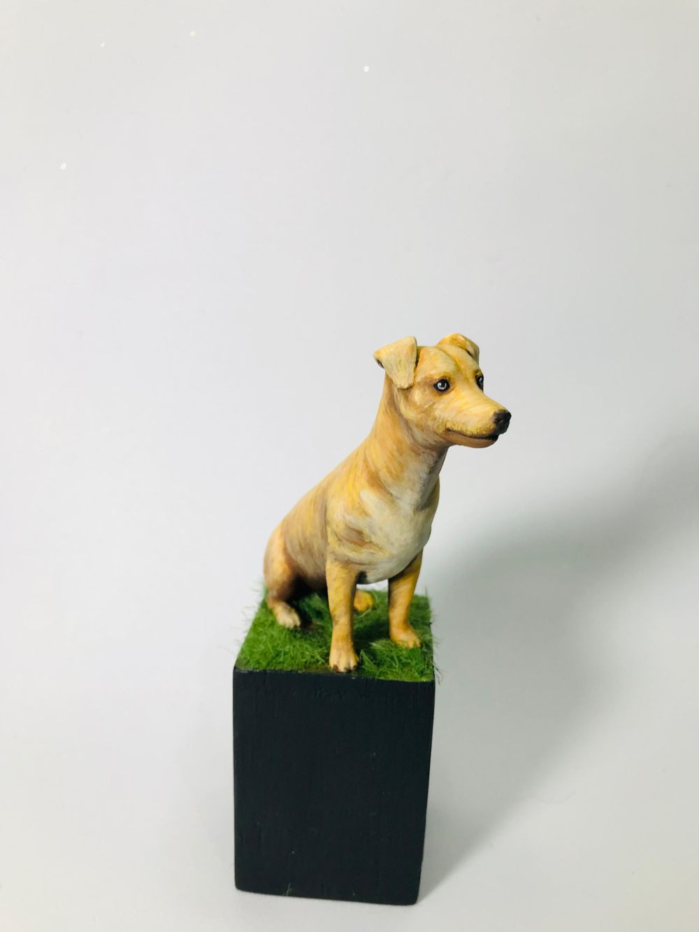 Brazilian Caramel Dog