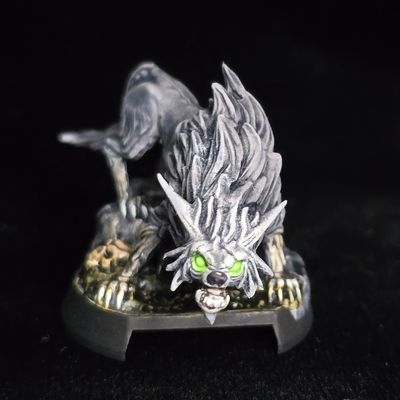 Wolf