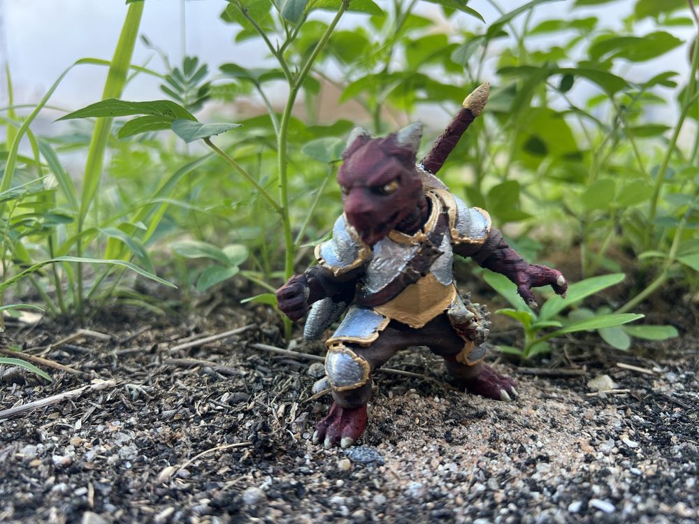Red dragon knight