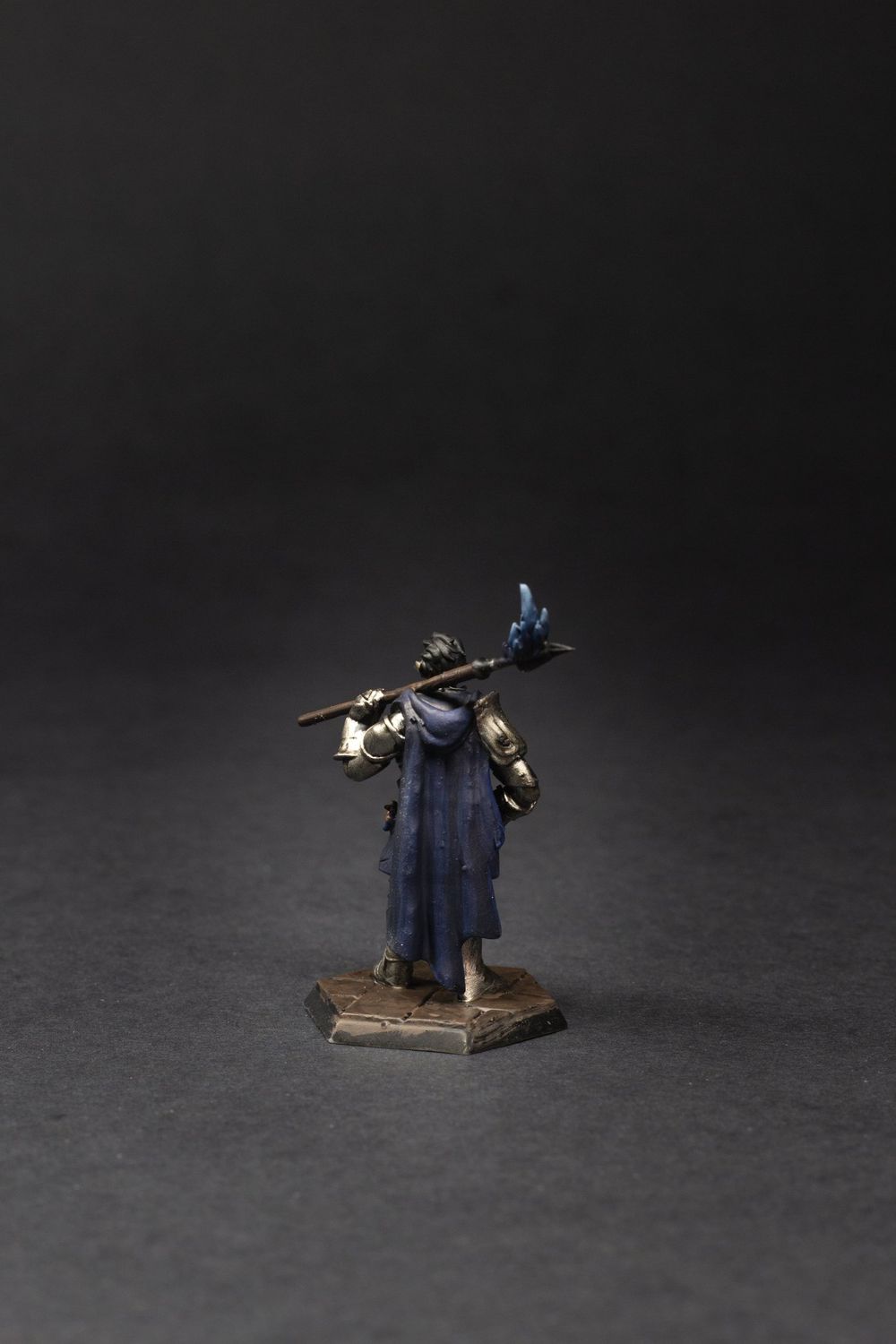 Frost Paladin