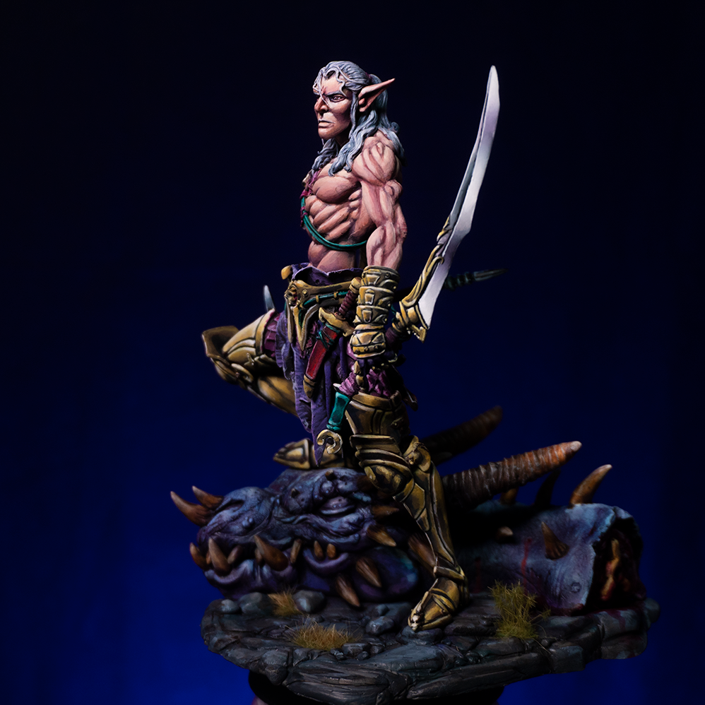 Elf Warrior