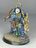 17 - Ultramarine bladeguard veteran
