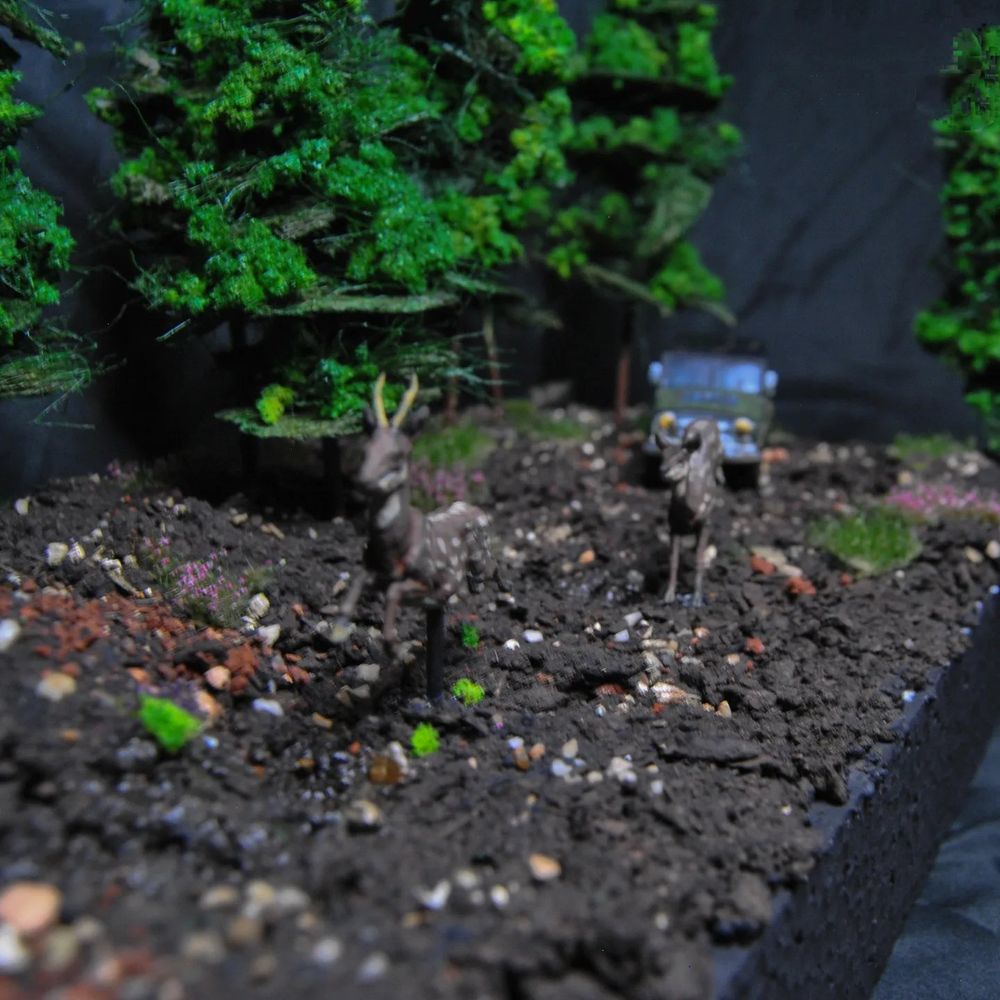 Forest Diorama