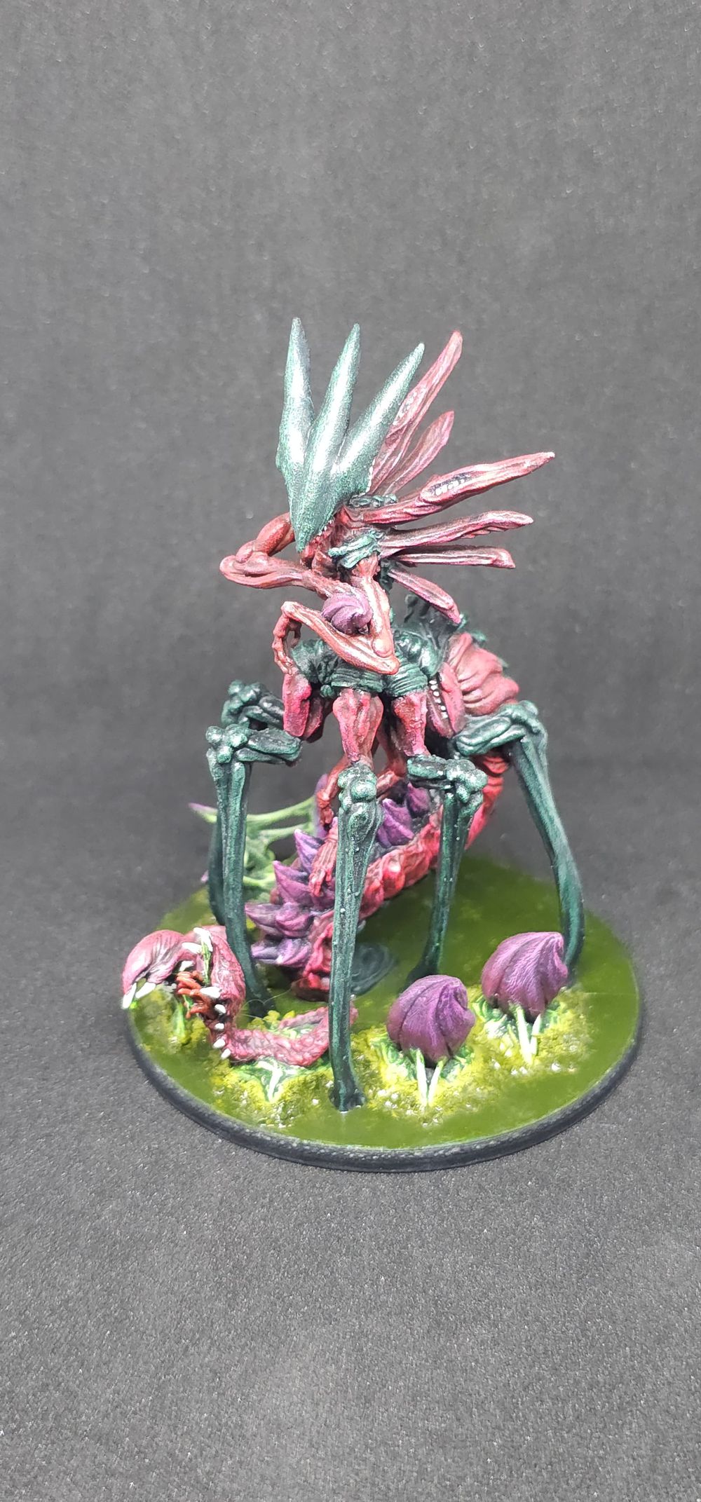 Rainha Xenomorfo