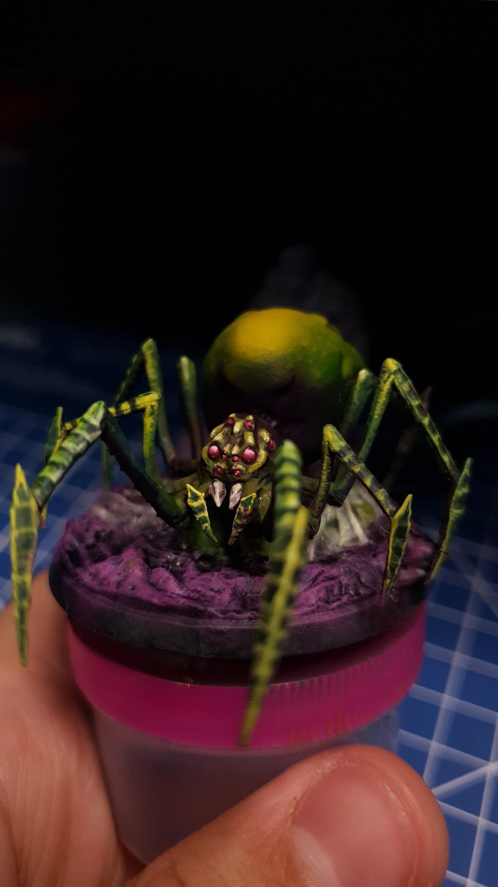 Aranha Mãe