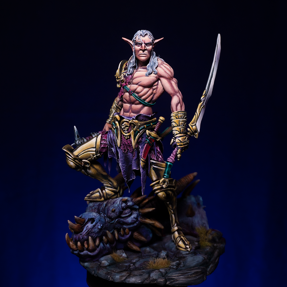 Elf Warrior