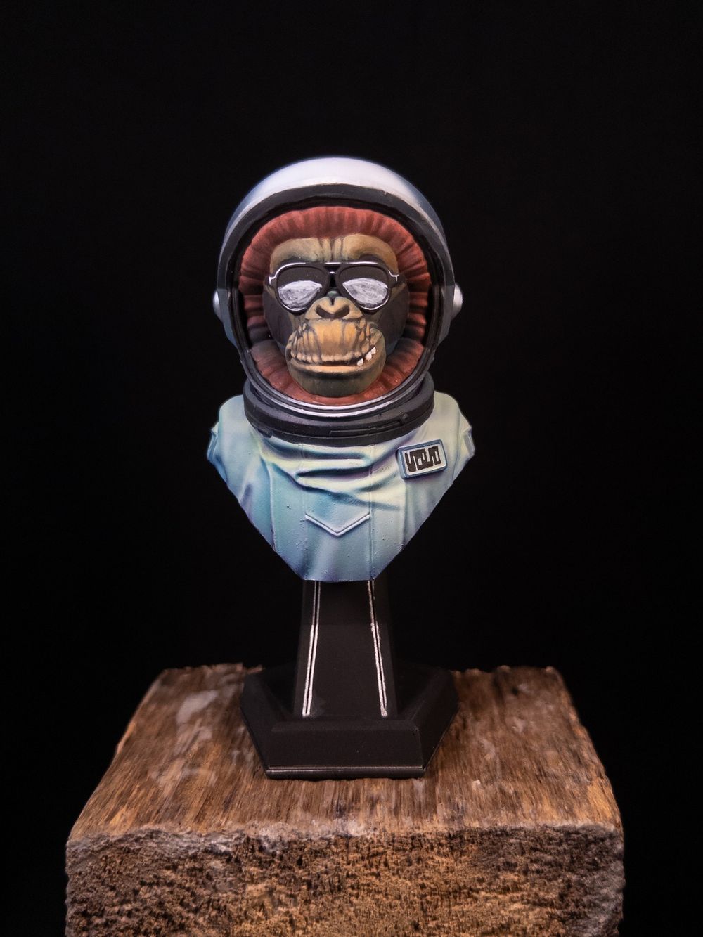 Intergalactic Monkey