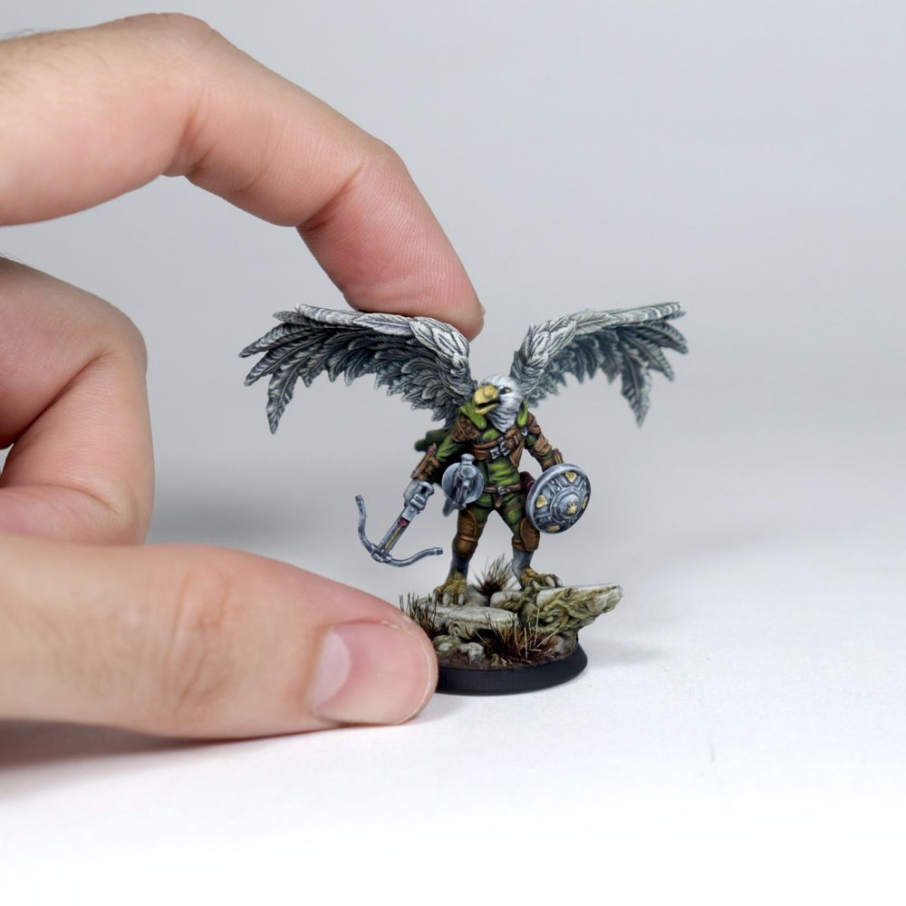 Aarakocra - D&D 5e