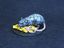 Rei rato / King Rat