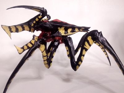 Warrior Bug