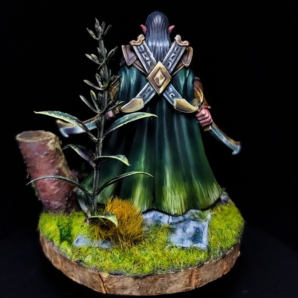 Elrond warrior preparado pra batalha