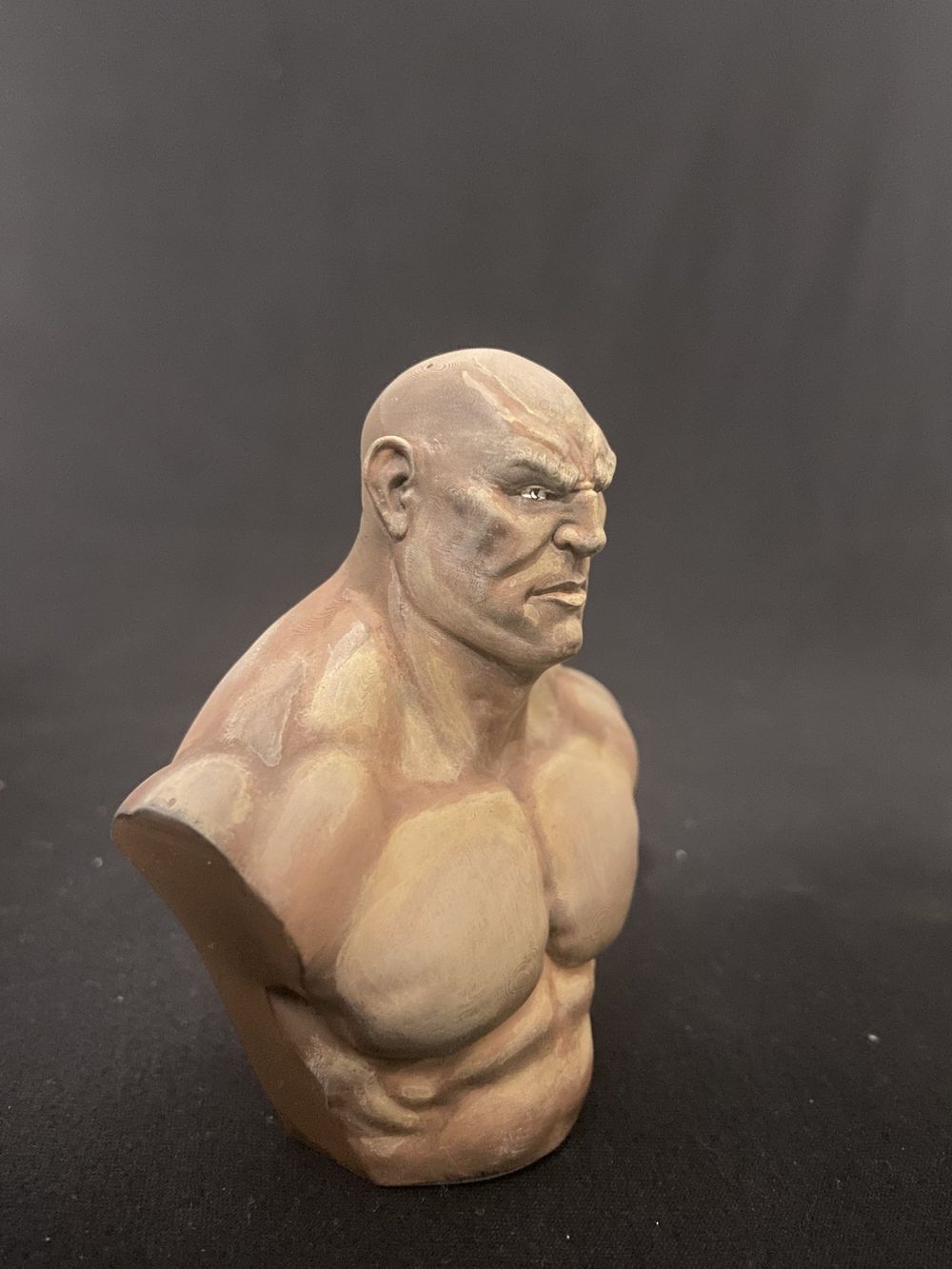 Busto acadêmico