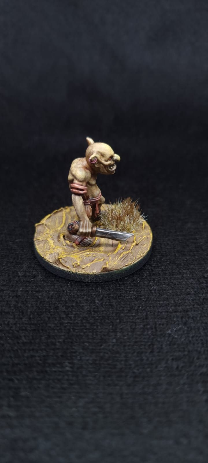 Goblin's Warband