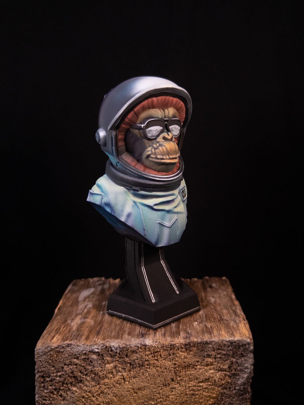 Intergalactic Monkey