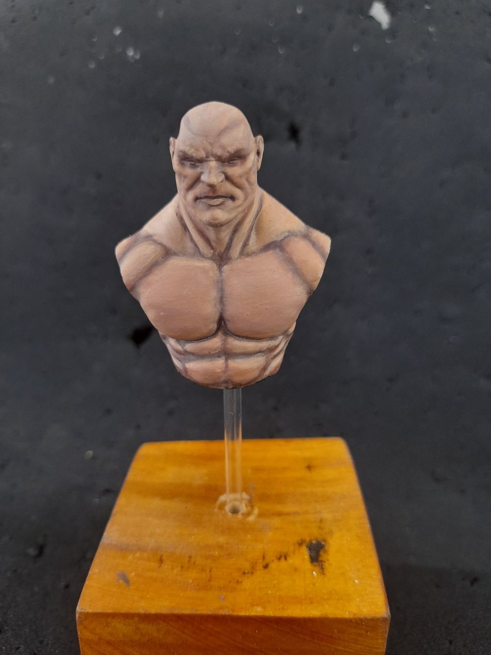 Busto do paint along