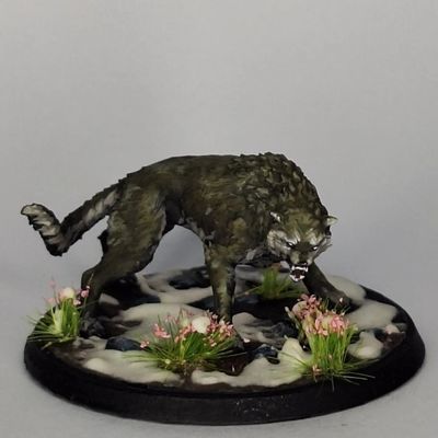 Lobo