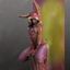 The bad bunny