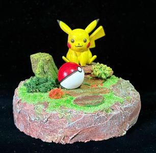 Pokémon