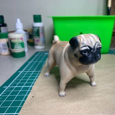 Pug