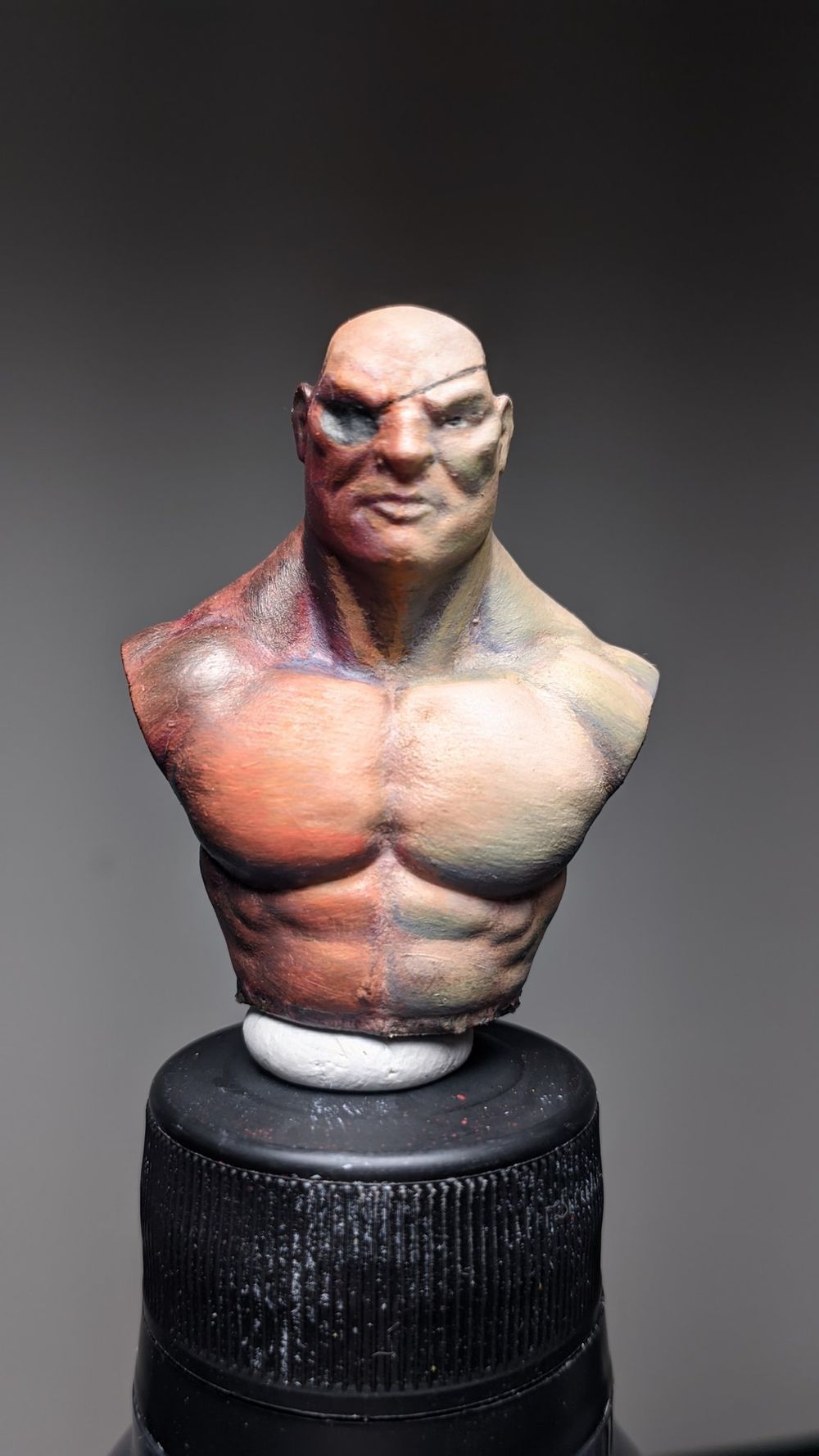 Busto do paint along
