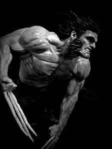 Wolverine Logan Movie
