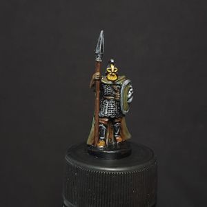 Soldado de Rohan