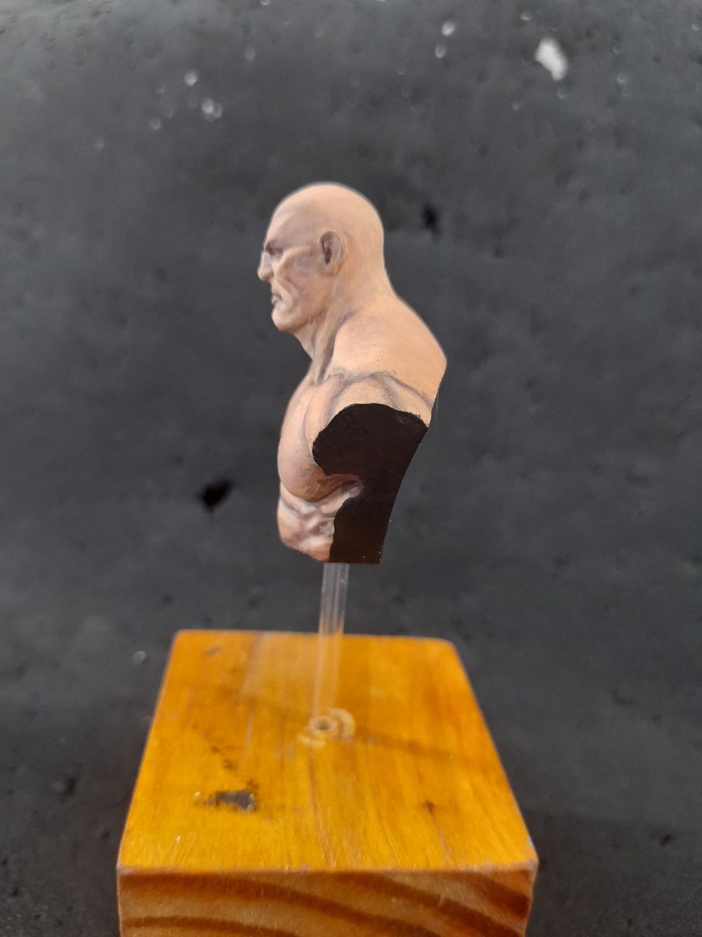 Busto do paint along