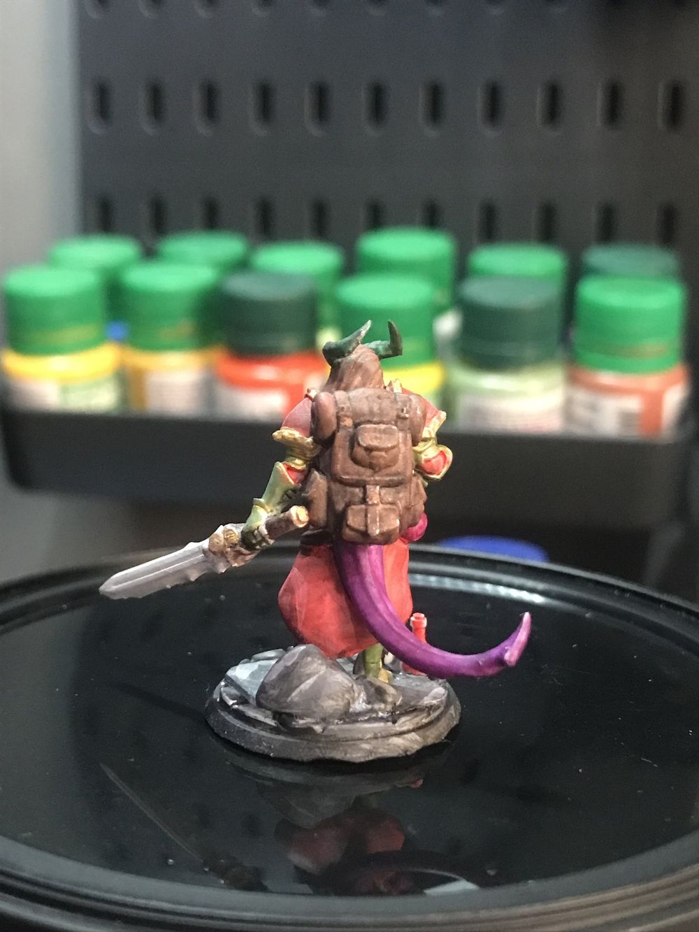 Tiefling paladina