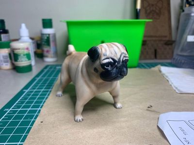 Pug