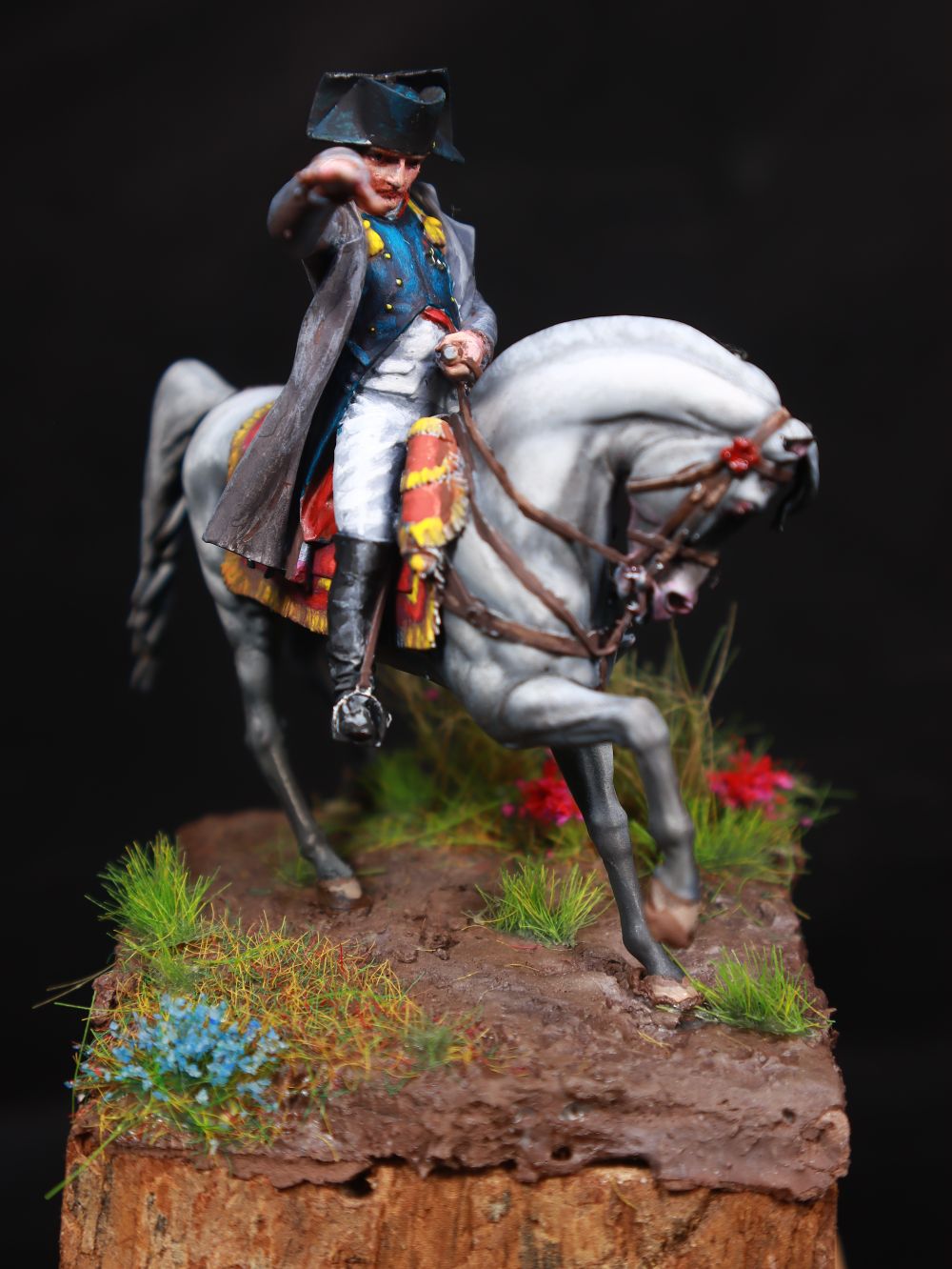 Napoleão Bonaparte