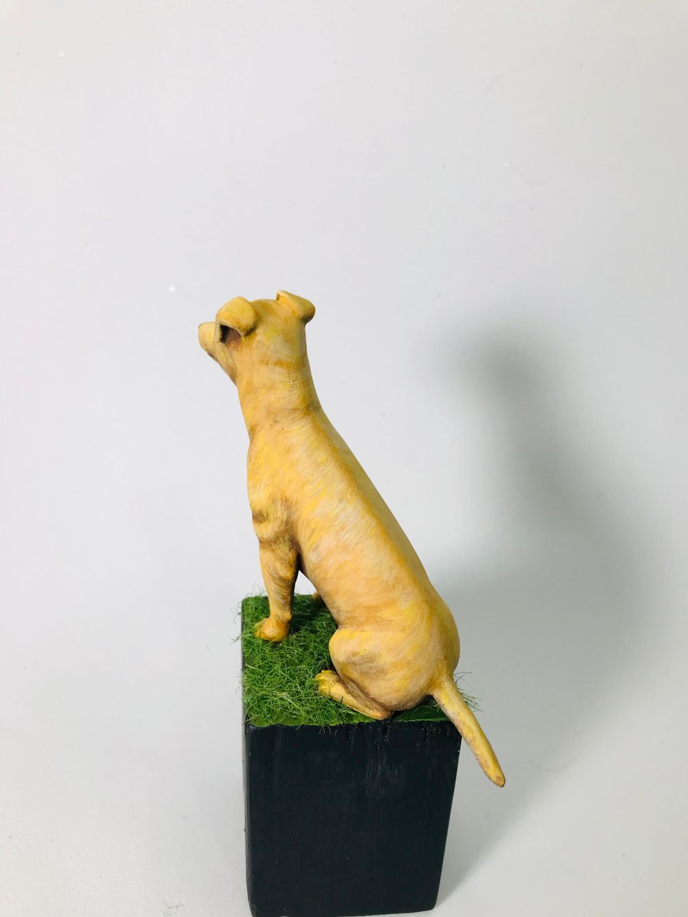 Brazilian Caramel Dog