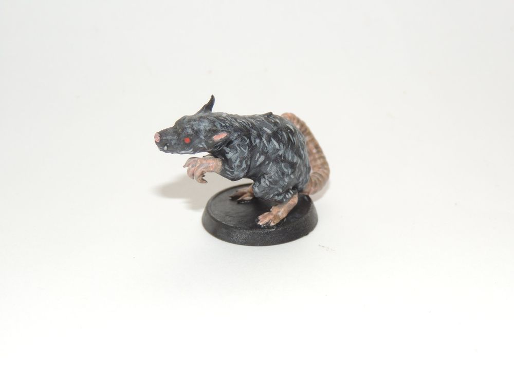 Rato / Mouse