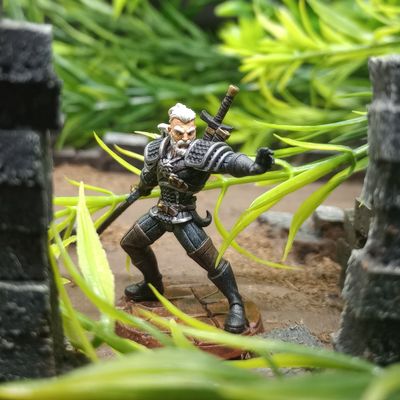 Geralt, the Witcher