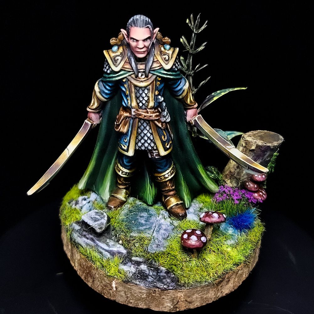 Elrond warrior preparado pra batalha