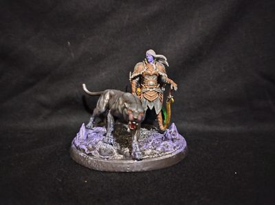 Drizzt Do'Urden