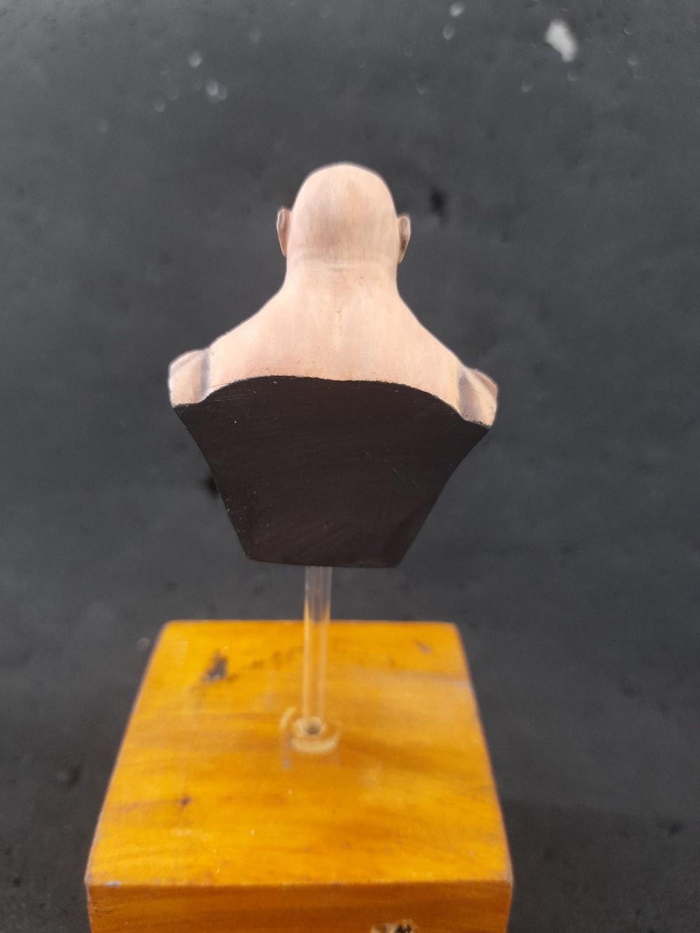 Busto do paint along