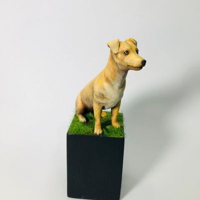 Brazilian Caramelo Dog