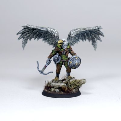 Aarakocra - D&D 5e