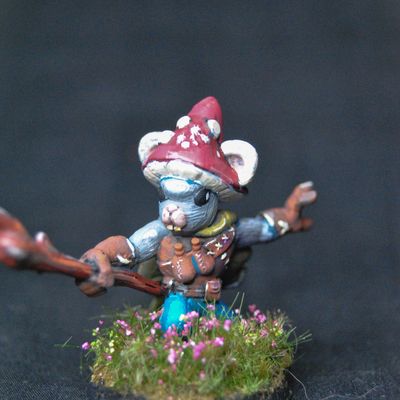 Mouse Druid