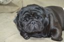lucylinnn's avatar
