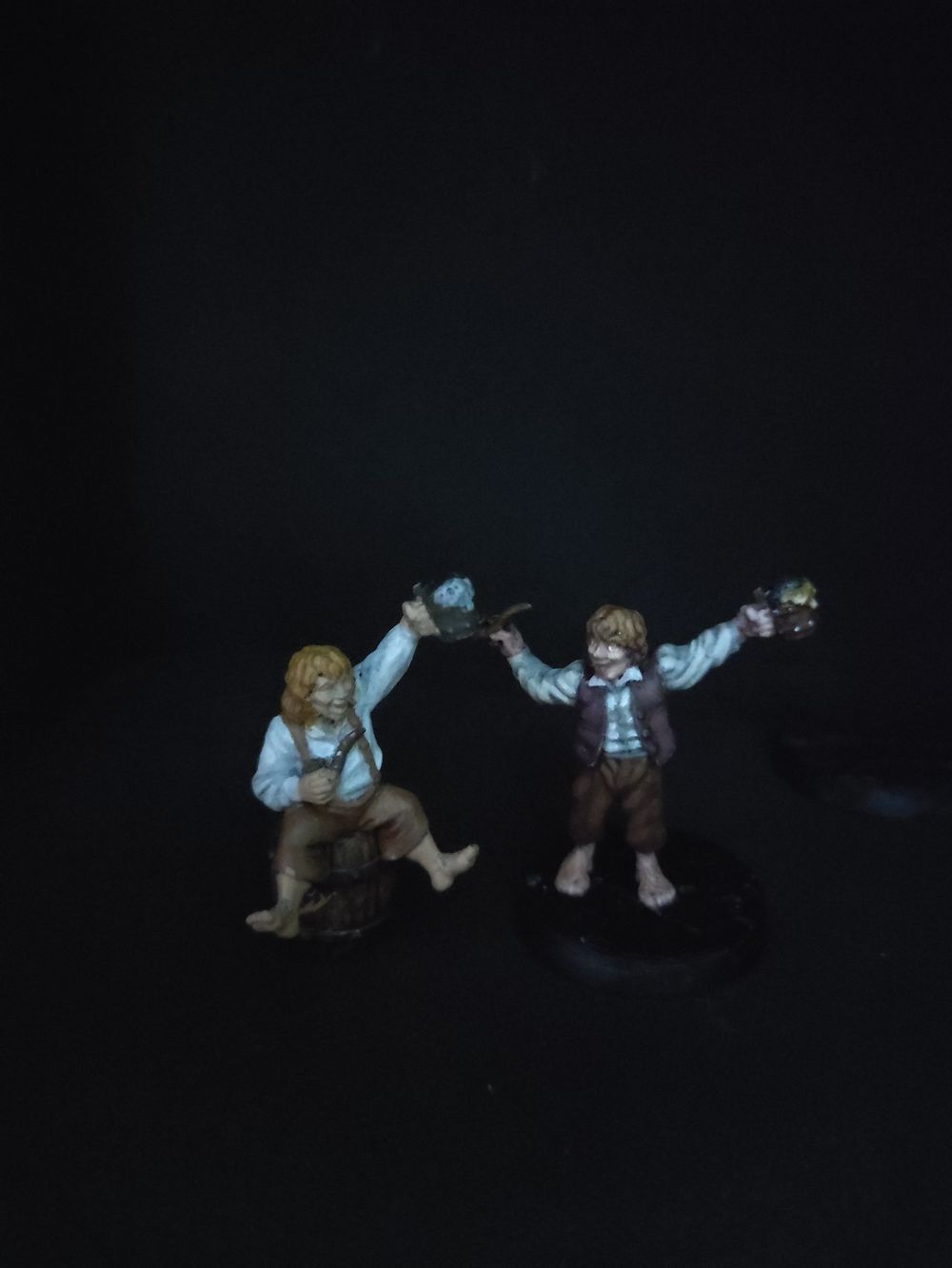 Peregrin Took & Meriadoc Brandebuque