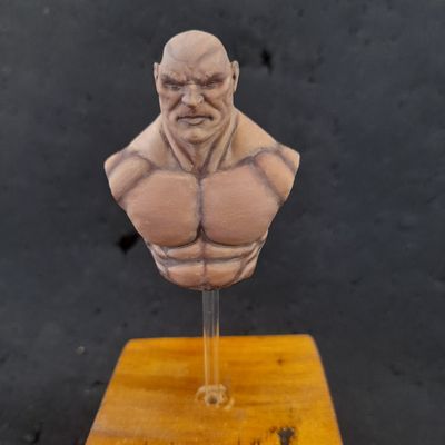 Busto do paint along